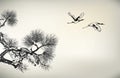 Ink style pine tree and crane Royalty Free Stock Photo