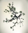 Ink style Pine Tree Royalty Free Stock Photo