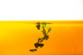 Ink in water splashing green yellow color background Royalty Free Stock Photo