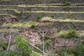 View at the agriculture Inca terraces used for plants farming, Archeological Park in Sacred Valley, Pisac near Cusco, Peru Royalty Free Stock Photo