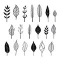 Inked tranquility: hand-drawn plant leafs in black and white Royalty Free Stock Photo