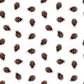 Inky brush strokes lady bug seamless pattern Royalty Free Stock Photo