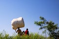 Burmese man with family carry a huge heavy sack on head through rural landscape