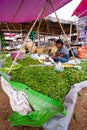 Inle lake, Myanmar - 5 July 2015: Woman sells vegetables on local market