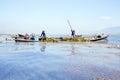 INLE LAKE, MYANMAR - NOVEMBER 23, 2015: Local workers collecting