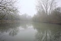 Inlet in a park on a foggy day Royalty Free Stock Photo