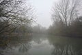 Inlet in a park on a foggy day Royalty Free Stock Photo