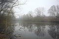 Inlet in a park on a foggy day Royalty Free Stock Photo