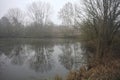 Inlet in a park on a foggy day Royalty Free Stock Photo