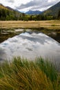 The Inner Basin Trail in Northern Arizona. Royalty Free Stock Photo