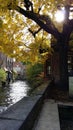 Brugge, Belgium in Autumn. Old town buildings on the canal Royalty Free Stock Photo