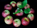 The inner circle of ....APPLES, grouped together, teamwork- one bad apple spoils the whole bunch Royalty Free Stock Photo