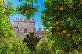 Inner courtyard of Lonja de la Seda, former silk exchange in Valencia, Spain Royalty Free Stock Photo