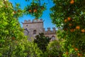 Inner courtyard of Lonja de la Seda, former silk exchange in Valencia, Spain Royalty Free Stock Photo