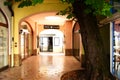 Inner old courtyard with large chestnut tree growing through the roof