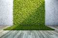 Inner courtyard with vertical garden