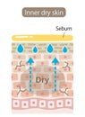 Inner dry skin cell layer. skin produce extra sebum to moisturize but below is dehydrated due to water loss. Skin care beauty conc