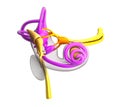 Inner Ear Anatomy isolated on white Royalty Free Stock Photo