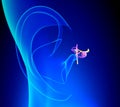 Inner Ear Detailed Anatomy with Pinna on blue background