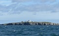 Inner Farne, Northumberland, England Royalty Free Stock Photo