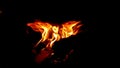 An inner fire, conceptual photo, internal motivations, a fire with beautiful flames Royalty Free Stock Photo