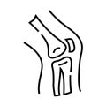 Inner knee bones structure line icon, concept sign, outline vector illustration, linear symbol.