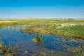 Site of Xanadu in Zhenglan Banner, Xilin Gol, Inner Mongolia, China. It was the summer capital of the Yuan dynasty.