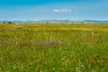 Site of Xanadu in Zhenglan Banner, Xilin Gol, Inner Mongolia, China. It was the summer capital of the Yuan dynasty.