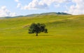 Inner Mongolia grassland Royalty Free Stock Photo