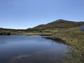 Grassland of Inner Mongolia, China Royalty Free Stock Photo