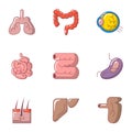 Inner organ icons set, cartoon style