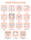 Inner organ icons vector illustration collection set. Labeled medical and anatomical human brain, lungs, heart, liver and stomach.