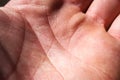 Inner part of the human hand. Close-up human skin on the palm Royalty Free Stock Photo