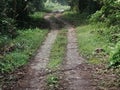 An inner road inside Manas wildlife sanctuary for tourist to view animals