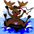 Inner tubing moose Royalty Free Stock Photo