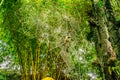 Inner yard with artificial giant spiderweb at Hotel museum in Dalat, Vietnam