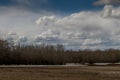 Innisfail Natural Area. Red Deer County, Alberta, Canada Royalty Free Stock Photo