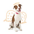 Innocent Dog With Drawn Angel Wings