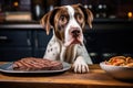 innocent looking dog in front of tasty steak