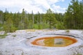 Innominate pool near the Firehole River, Yellowstone National Park
