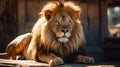 Innovating Techniques: A Transcendentalist Lion In A Sunlit Barn