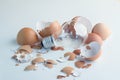 Innovation Bright Ideas Light Bulb Hatching From Egg Shell Royalty Free Stock Photo