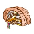 Innovation Computer Chip Brain Color Vector