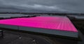 Innovation in greenhouse farming, pink purple LED lights make plants grow better. Mixture of the red and blue colors