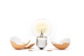 Innovation - Ideas Light Bulb Hatching Royalty Free Stock Photo