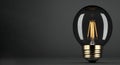 Innovation And Leadership Concept - Glowing Bulb in dark background Royalty Free Stock Photo