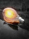 Innovation And Leadership Concept - Glowing Bulb