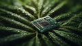 Innovation meets nature: A sleek, modern microchip embedded into a green leaf. Royalty Free Stock Photo