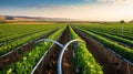 innovation water food processing