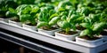 innovative aquaponics farm system, showcasing fish tanks and hydroponic vegetable beds in harmony.Generative AI